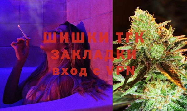 ГАЛЛЮЦИНОГЕННЫЕ ГРИБЫ Коряжма