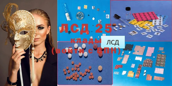 ГАЛЛЮЦИНОГЕННЫЕ ГРИБЫ Коряжма